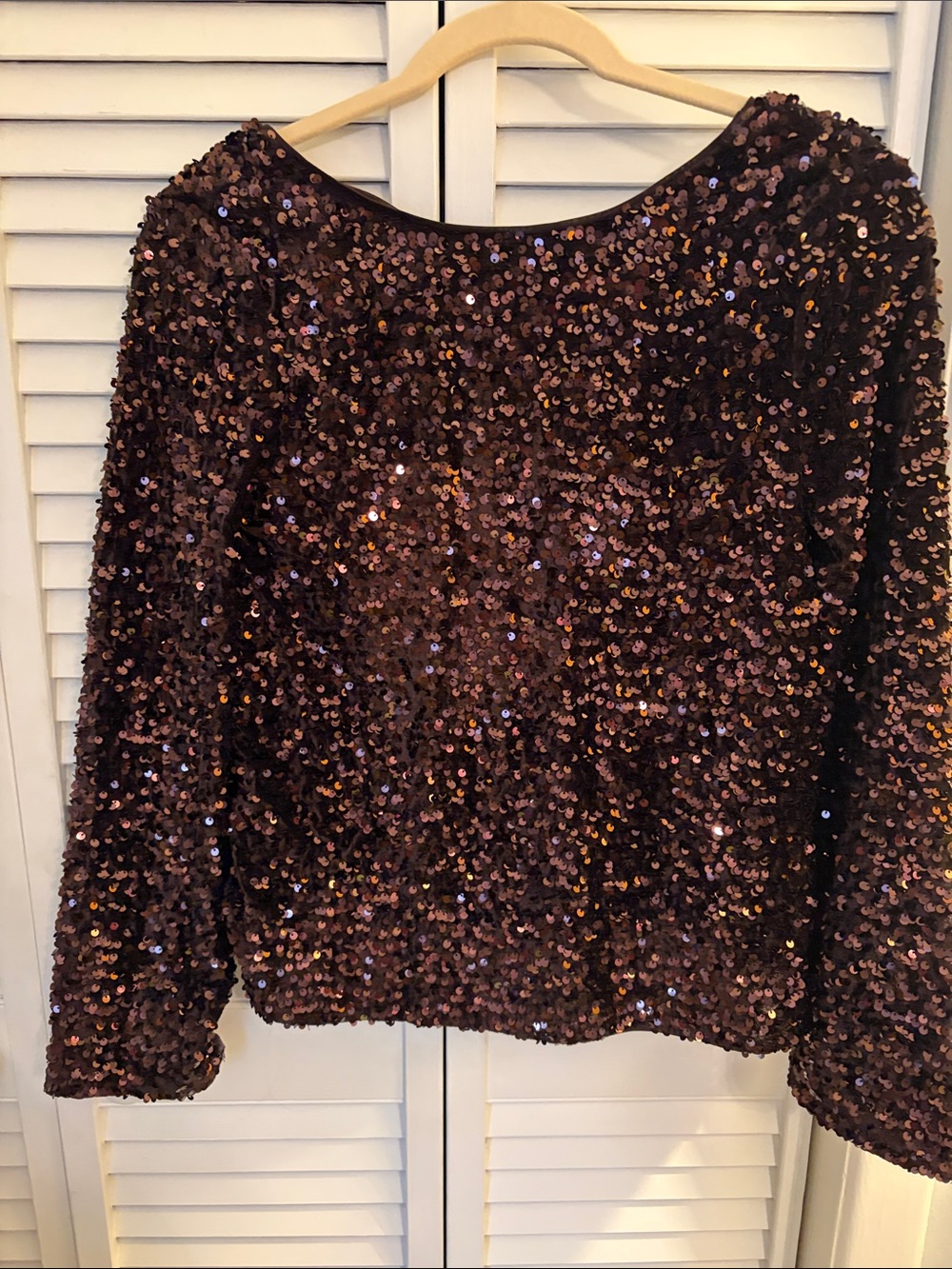 H&M Brown Sequin Long-Sleeve Pullover